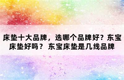 床垫十大品牌，选哪个品牌好？东宝床垫好吗？ 东宝床垫是几线品牌